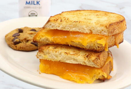 Kid's Grilled Cheese on Plate