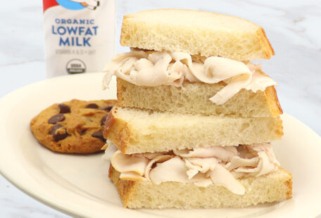Kid's Turkey Sandwich on Plate