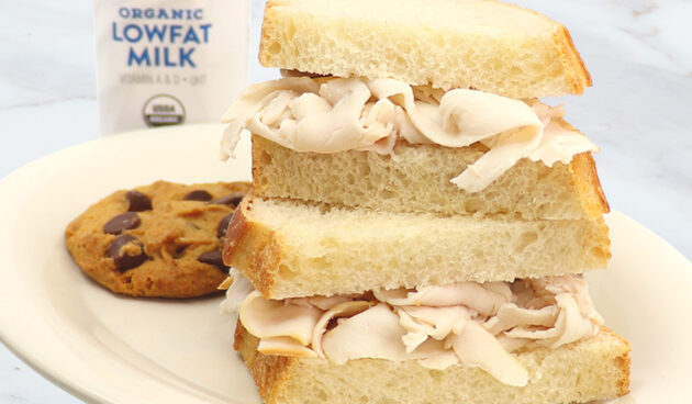 Kid's Turkey Sandwich on Plate