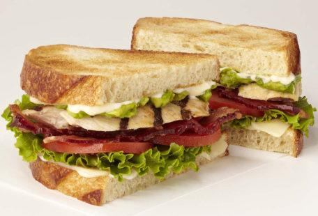 Toasted Chicken Club sandwich with bacon, tomato and avocado on toasted sourdough