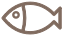Icon representation for Fish