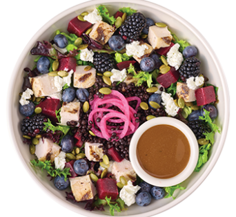 Protein Bowls & Salads Category Image with Beet & Berry Protein Bowl
