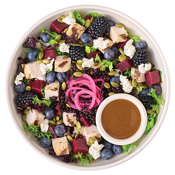 Protein Bowls & Salads Category Image with Beet & Berry Protein Bowl